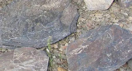 Bild in der Bildergallerie zu Schieferplatten